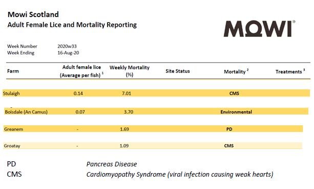 Lice & Mort reporting 16 Aug 2020