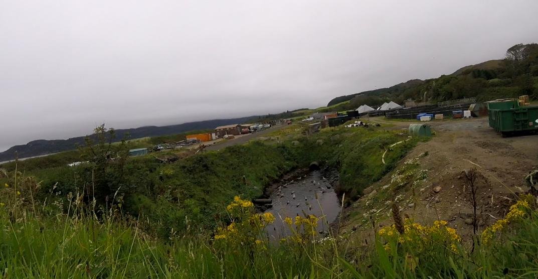 Effluent #1 Effluent #1