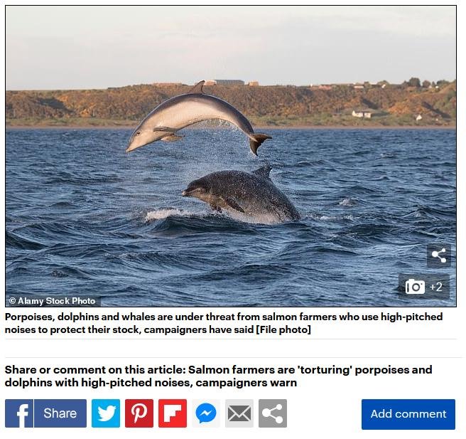 Mail Online 25 Oct 2020 #4 Mail Online 25 Oct 2020 #4