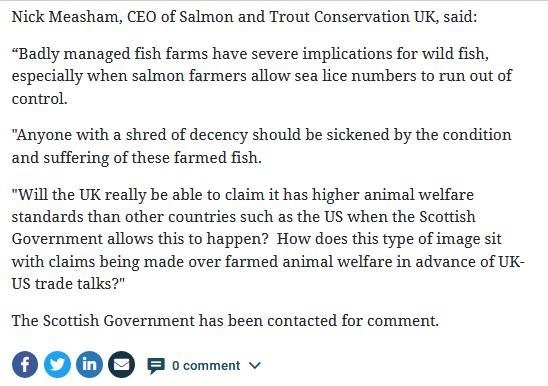 Herald 31 Oct 2020 #10 Herald 31 Oct 2020 #10