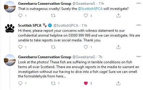 SSPCA Tweet 31 Oct 2020 #2