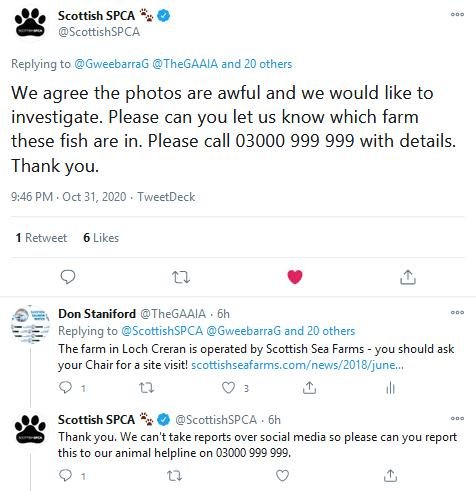 SSPCA Tweet 31 Oct 2020