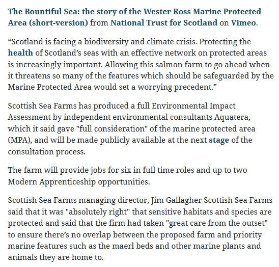 Herald 4 Nov 2020 #5