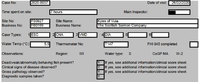 Kyles Vuia Feb 2020 #1