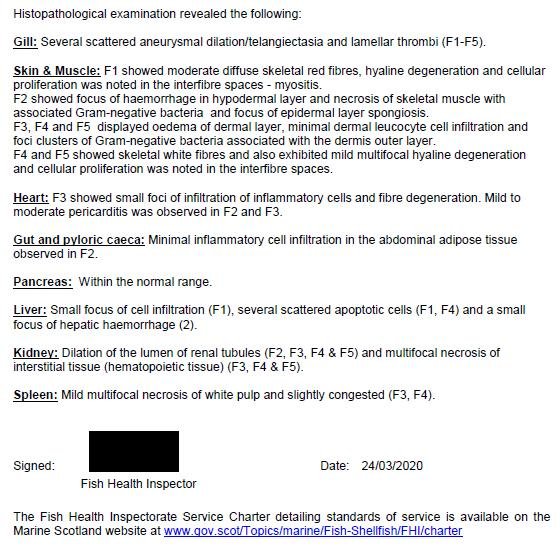 Kyles Vuia Feb 2020 #7