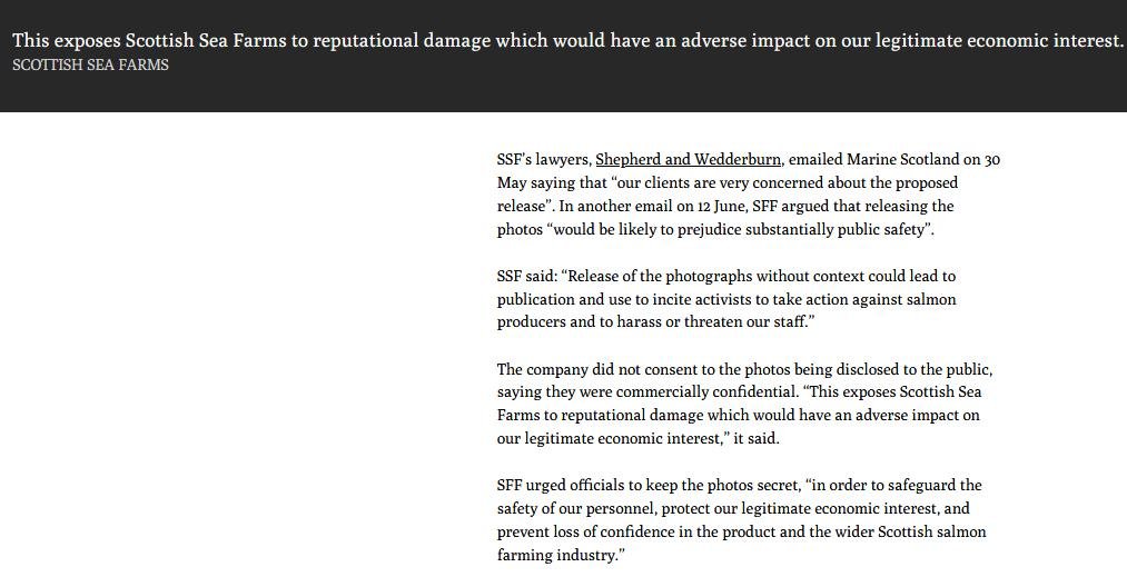 Lesley Rice blog 5 Nov 2020 #2