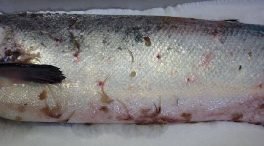 FOI photo disclosure Sept 2018 #3