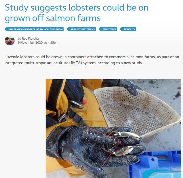 Well boat PR 9 Nov 2020 #11