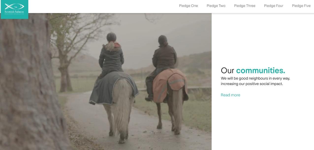 Pledge Nov 2020 #7 communities