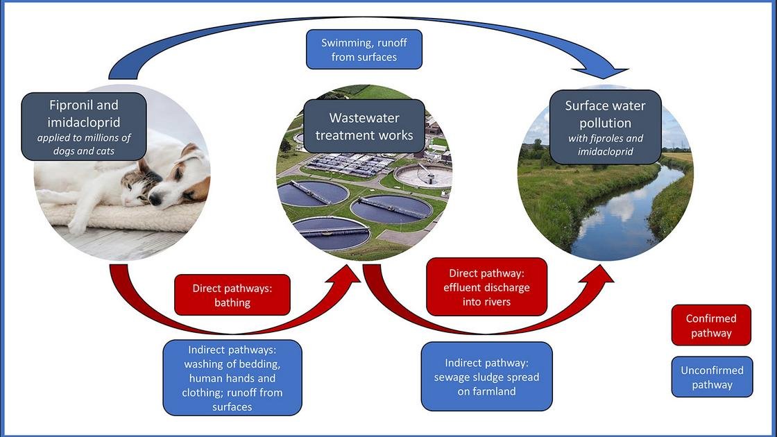 Imidacloprid Pets Nov 2020 #3