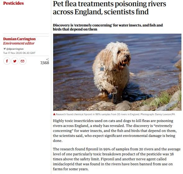 Imidacloprid Pets Nov 2020 #4