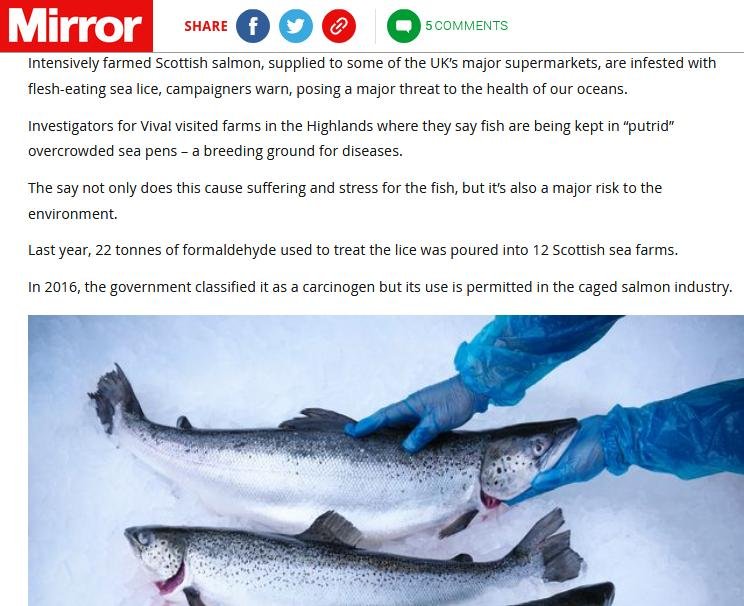 Mirror 22 Nov 2020 #2