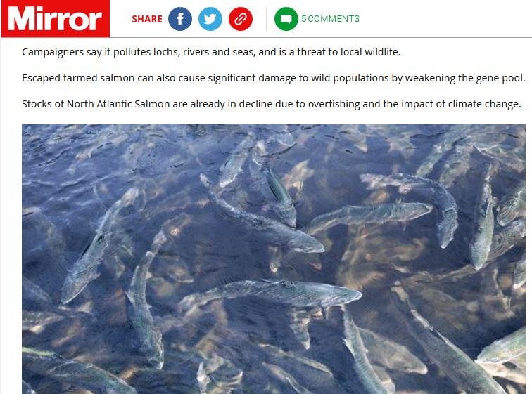 Mirror 22 Nov 2020 #3