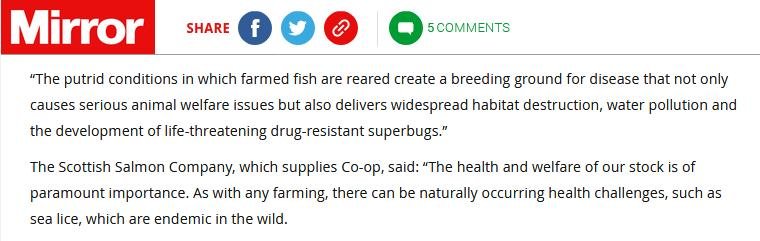 Mirror 22 Nov 2020 #5