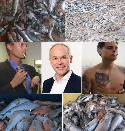 PR Norwegian Pension Fund Divestment 27 November 2020 Tweet photo #2