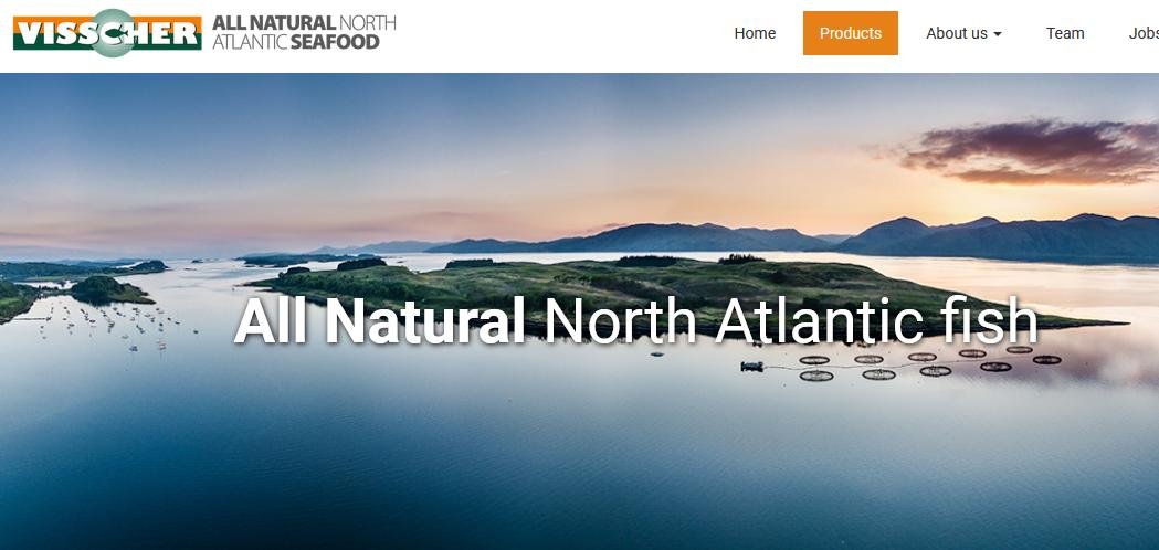 Visscher #3 Visscher #3