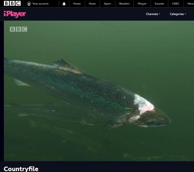BBC Countryfile 6 Dec 2020 #1