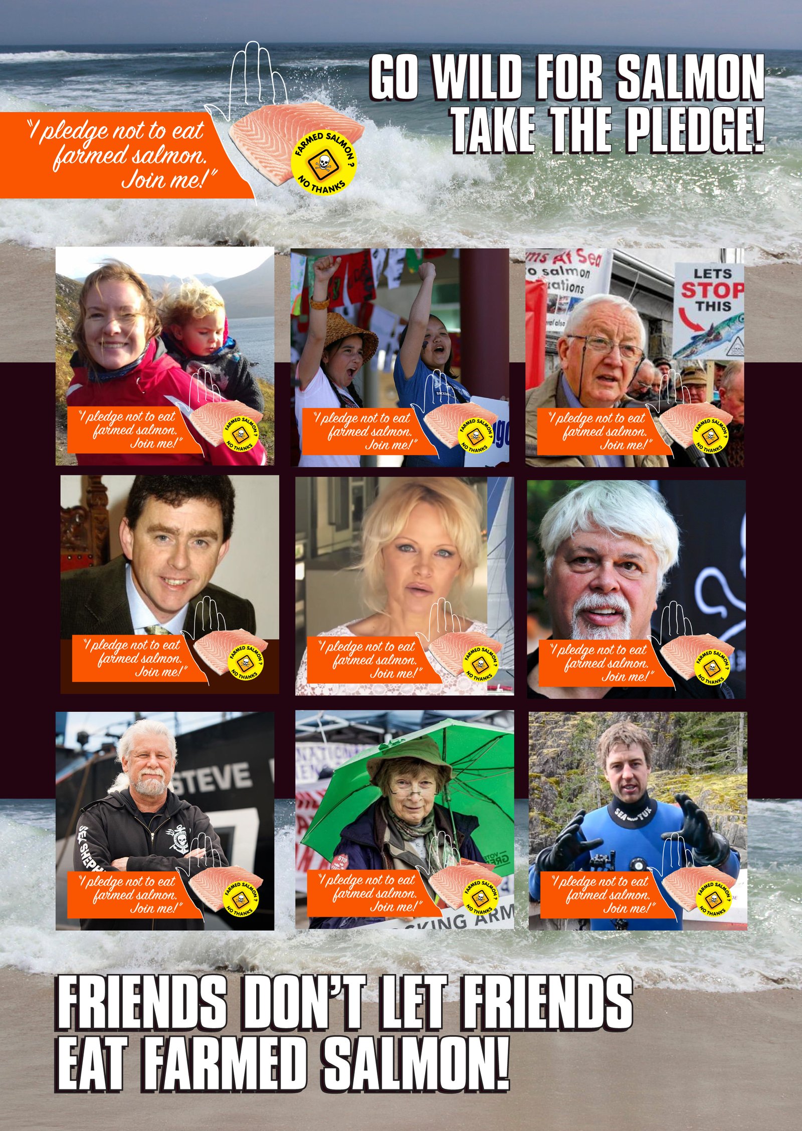 Collage of Take the Pledge #4