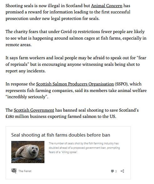 Ferret 2 Feb 2021 #2