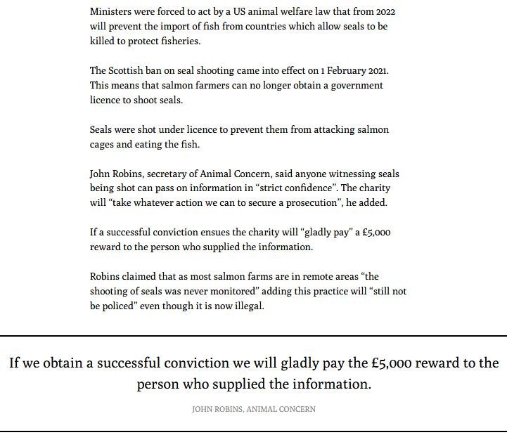 Ferret 2 Feb 2021 #3