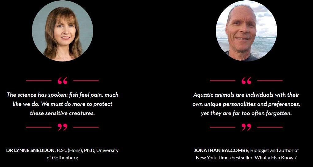 Animal Equality Feb 2021 #4