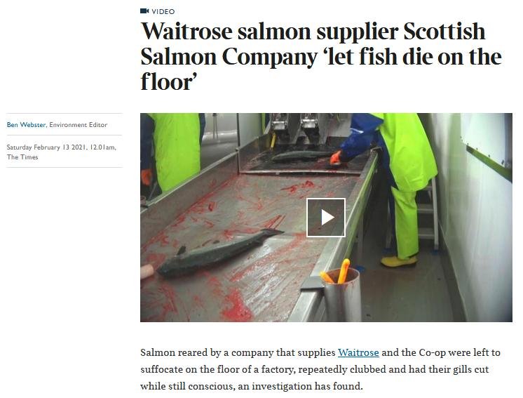 Times SSC video Animal Equality 13 Feb 2021 #1