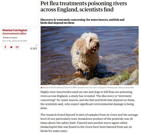 Blog Imidacloprid Feb 2021 #7