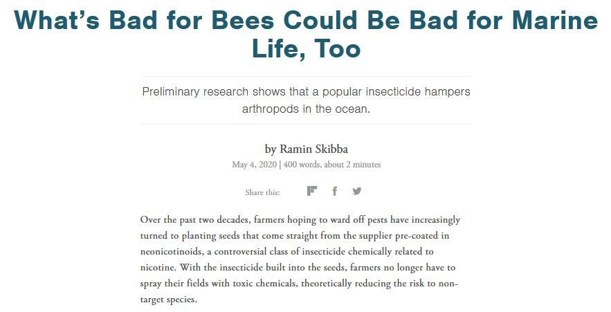 Blog Imidacloprid Feb 2021 #14