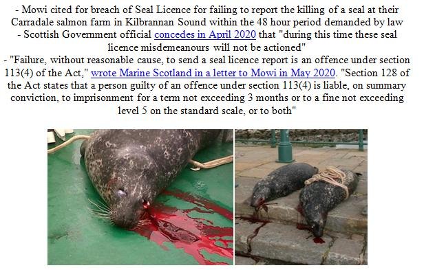 PR Illegal Killing of Seals by Scottish Salmon Farms 21 Feb 2021 #4 PR Illegal Killing of Seals by Scottish Salmon Farms 21 Feb 2021 #4