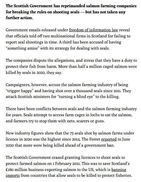 Ferret 25 Feb 2021 #2 Ferret 25 Feb 2021 #2