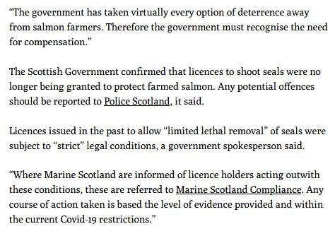 Ferret 25 Feb 2021 #9 Ferret 25 Feb 2021 #9