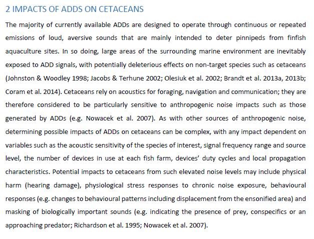 SARF ADD report #18 impacts on cetaceans
