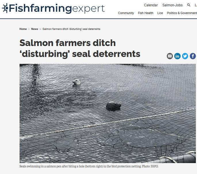 Fish Farming Expert June1 March 2021 #1