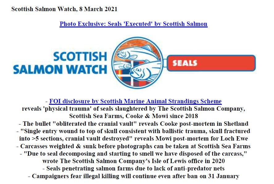 PR Photo Exclusive Seals Executed by Scottish Salmon 8 March 2021 #1