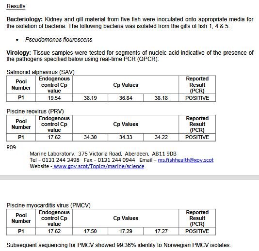 FHI SSC Plocropol #14 Norwegian PMCV isolates