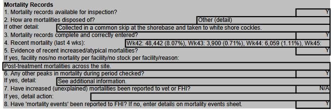 FHI SSC Reibinish #4