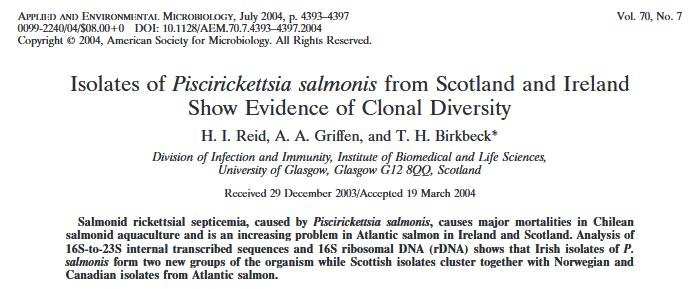 FHI Mowi Piscirickettsia