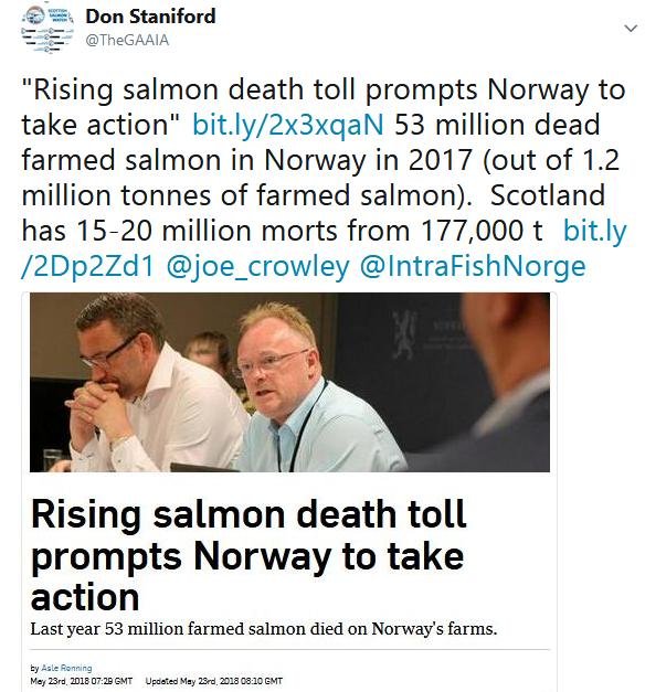 Norway deaths 53 million in 2017 Intrafish 23 May 2018 Tweet