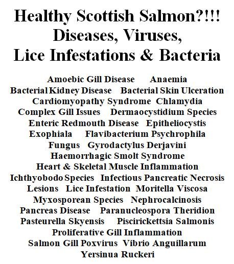 Norway blog #8 disease scotland Norway blog #8 disease scotland