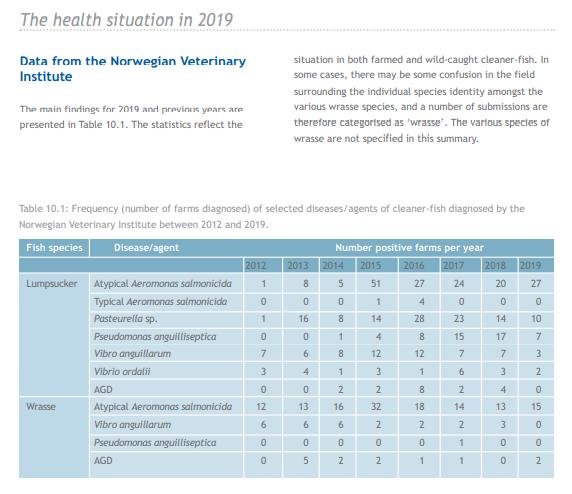 Norway blog #30 cleaner fish Norway blog #30 cleaner fish