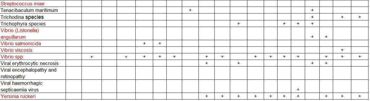 Diseases 1980 to 1998 #4 Diseases 1980 to 1998 #4