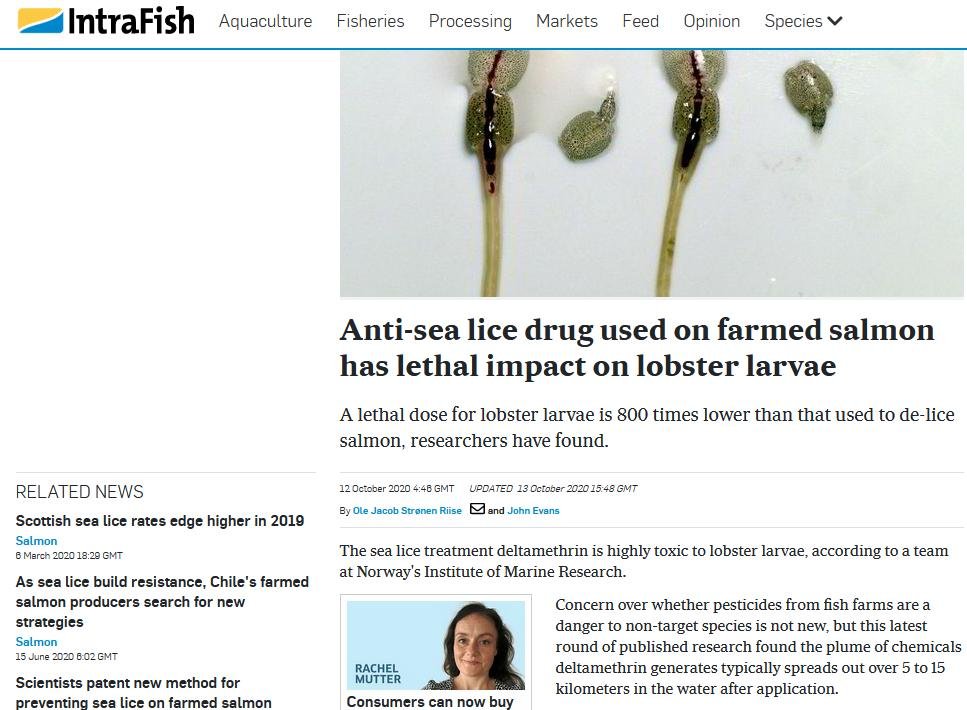 Deltamethrin IMR 2020 #3 Intrafish Deltamethrin IMR 2020 #3 Intrafish