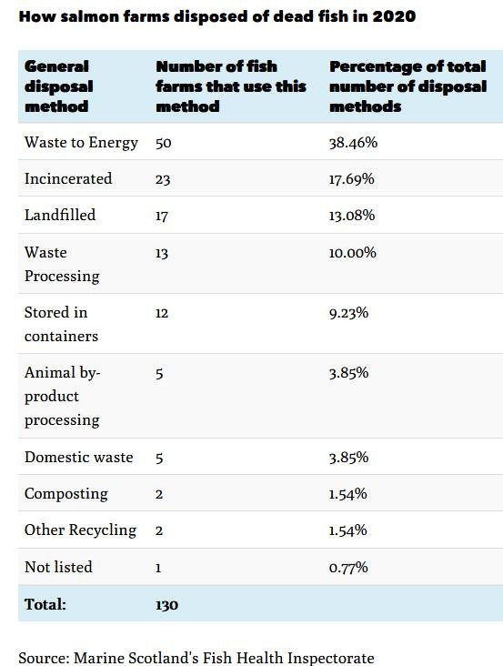 Ferret 21 March 2021 #2 Table
