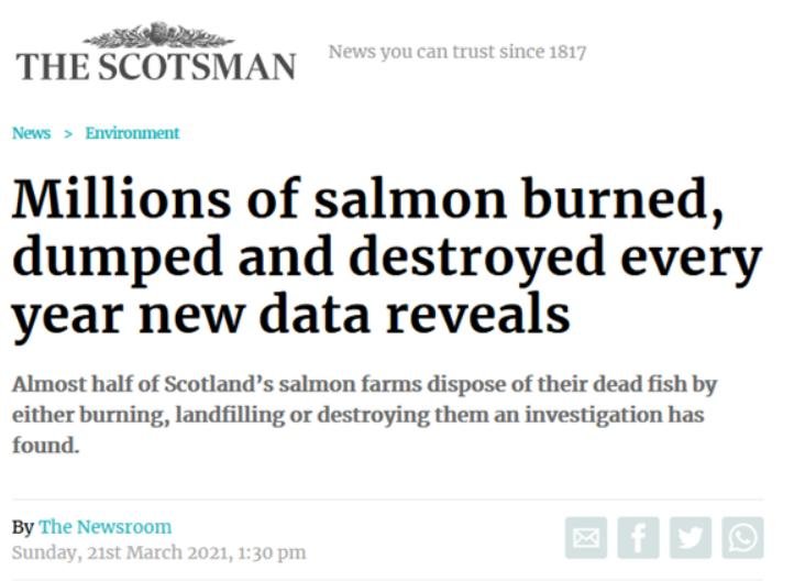 Scotsman 21 March 2021 #1