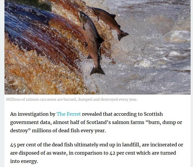 Scotsman 21 March 2021 #2