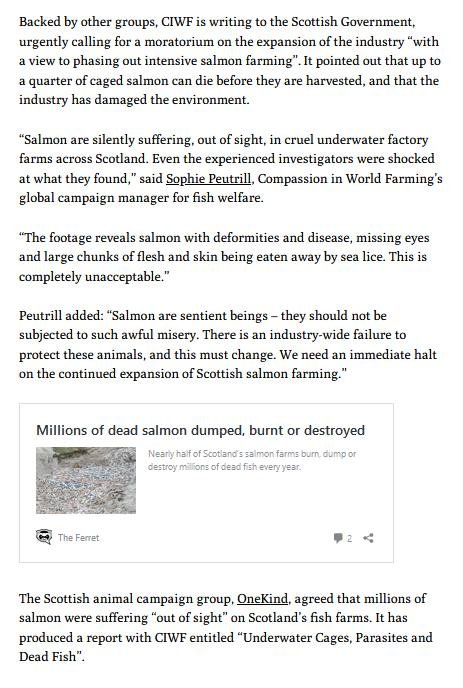 Ferret 23 March 2021 #4