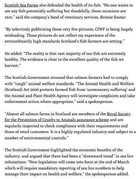 Ferret 23 March 2021 #6