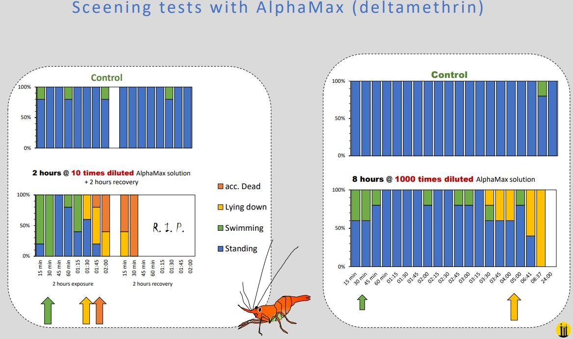 Bechmann 2018 #2 Bechmann 2018 #2
