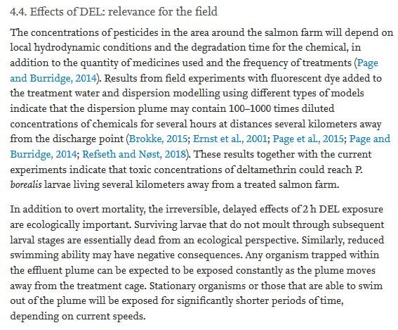 Bechmann 2020 #4 Bechmann 2020 #4