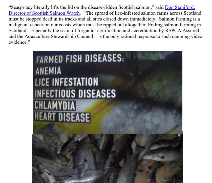 PR Netflix Exposes 31 March 2021 #4 PR Netflix Exposes 31 March 2021 #4